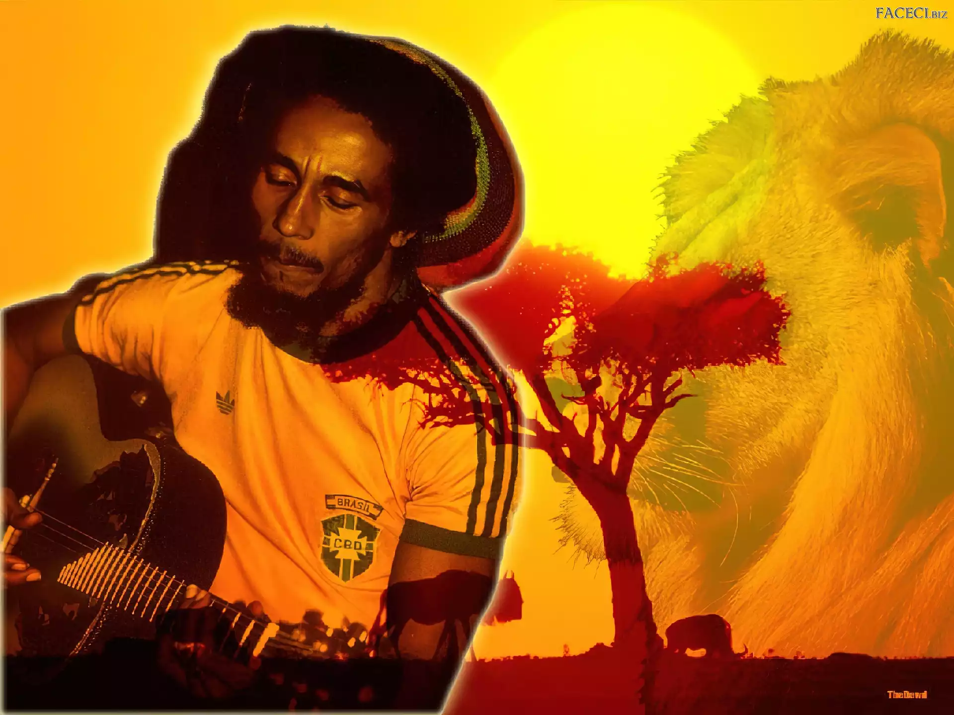 Drzewo, Bob Marley, Gitara