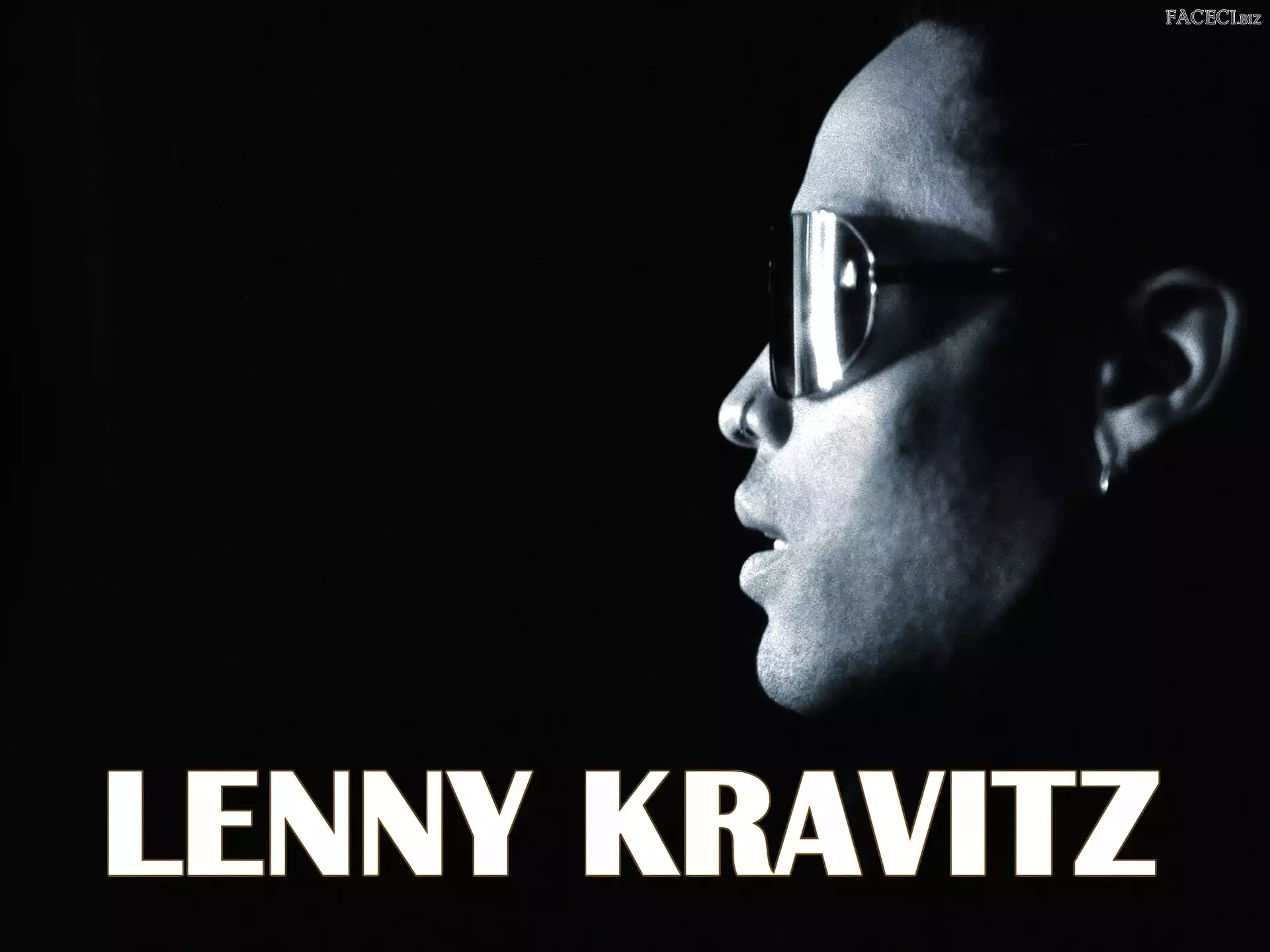 Piosenkarz, Lenny Kravitz, Okulary