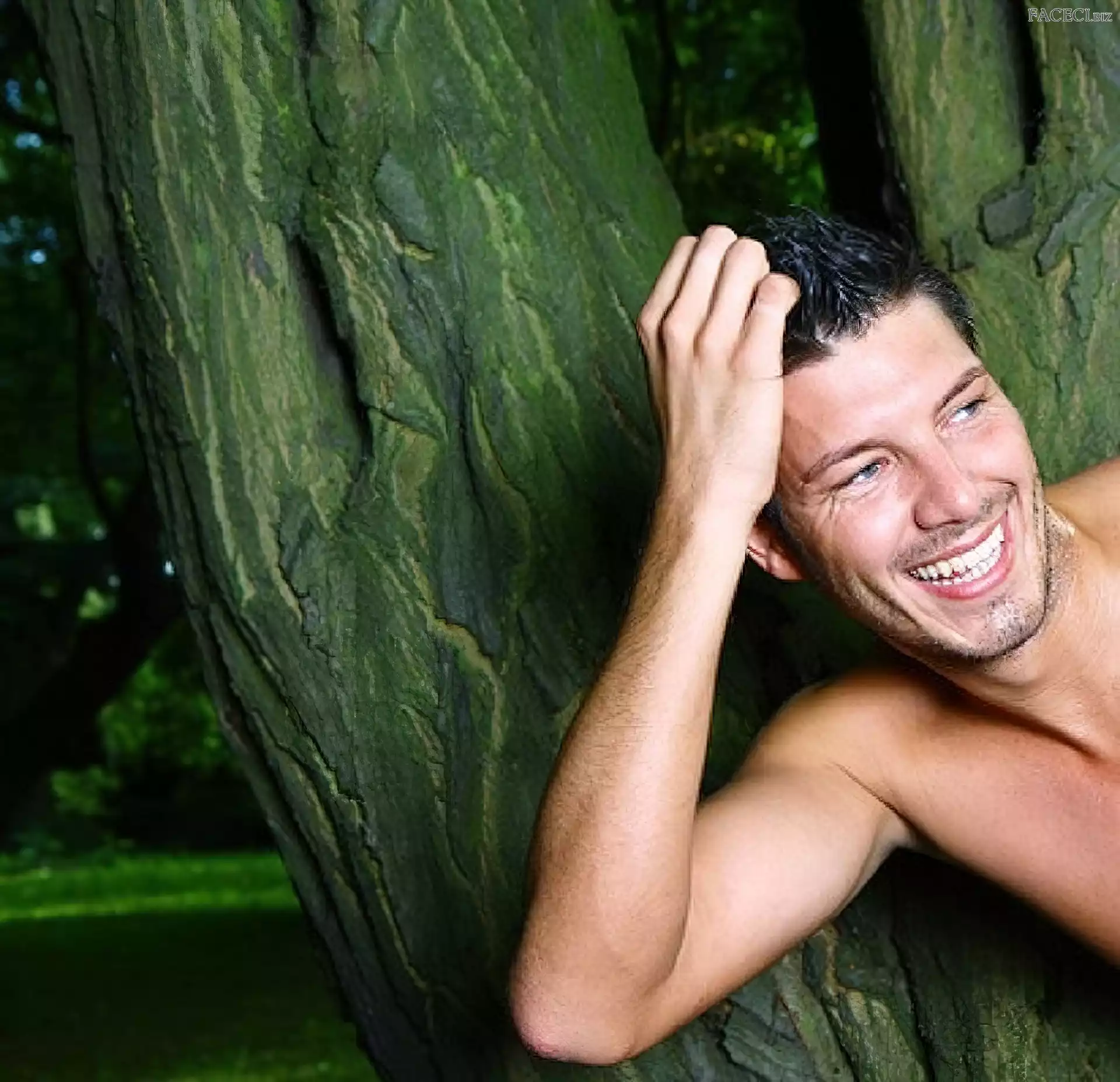 Drzewo, Mężczyzna, Model